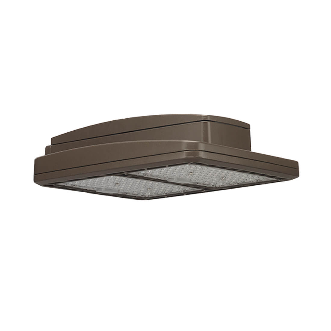 Outdoor LED Lights